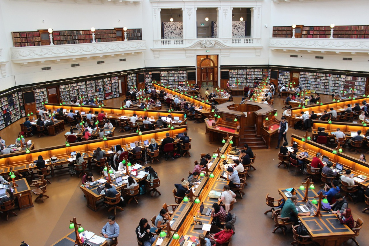 people studying library